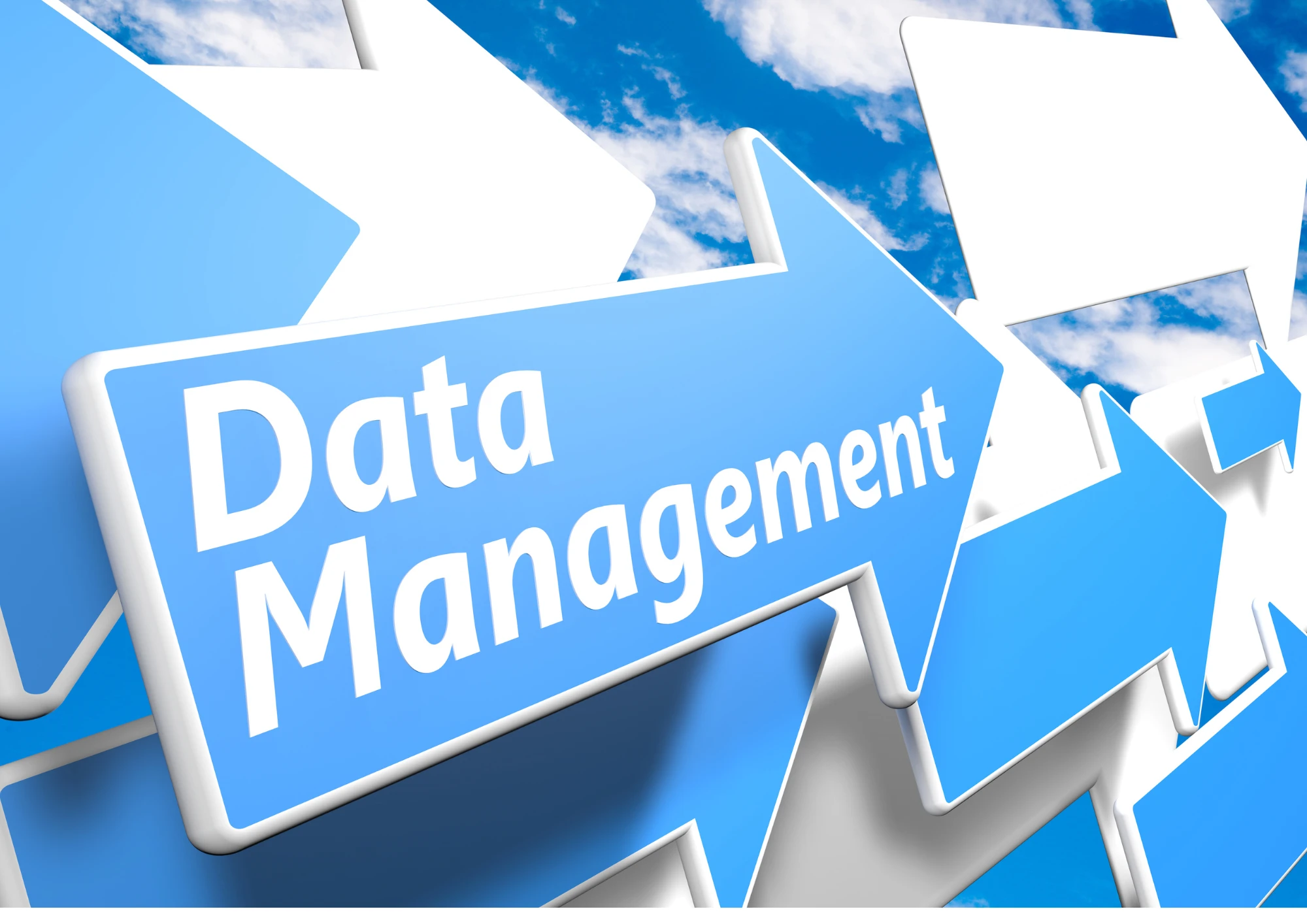 Effective Data Management Drives Digital Transformation